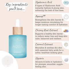 Cocosolis AQUA Filler-Effect Hyaluron Supreme Key Ingredients - Hyaluronic acid, aquaxyl, chicory root extract, coconut extract, glycerin