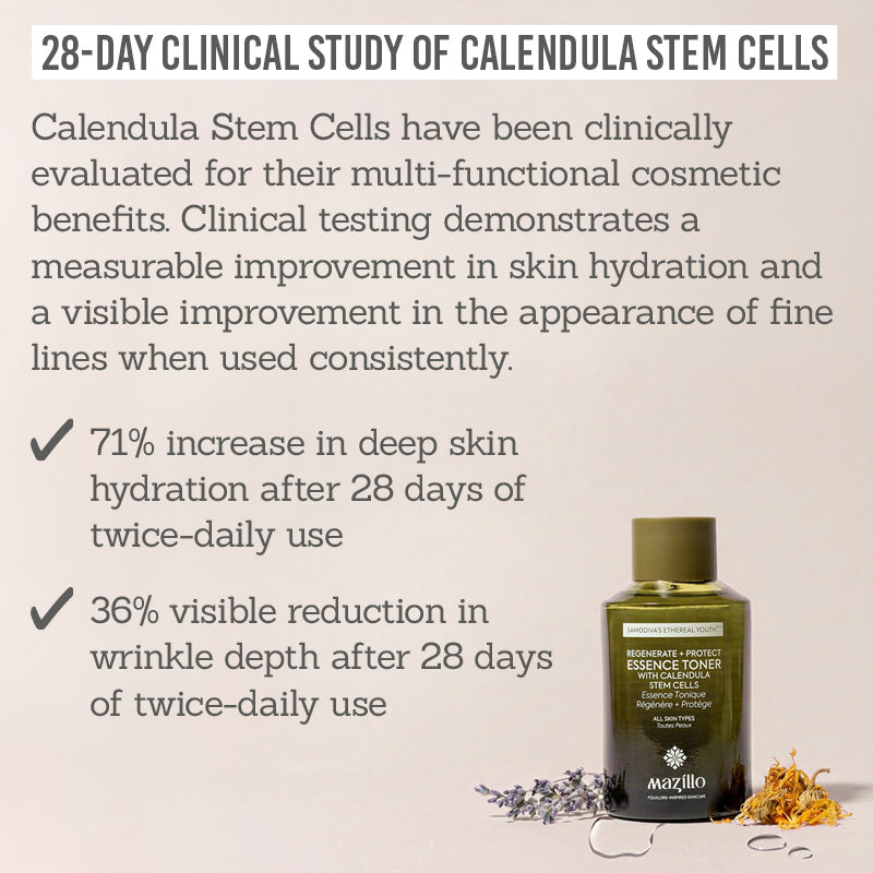 Mazillo Regenerate + Protect Essence Toner 28-day clinical study of calendula stem cells