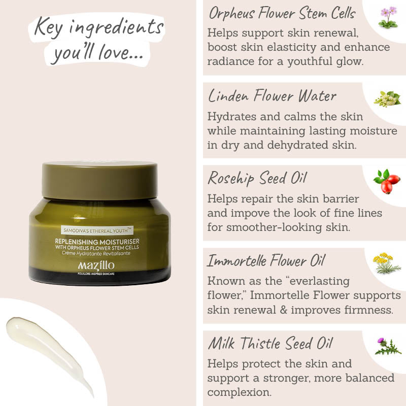 Mazillo Replenishing Moisturiser Key Ingredients - Orpheus stem cells, linden water, rosehip seed oil, immortelle flower oil, milk thistle seed oil