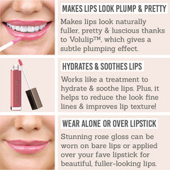 Benefits of Studio 10 Plumping Lip Gloss in Rose